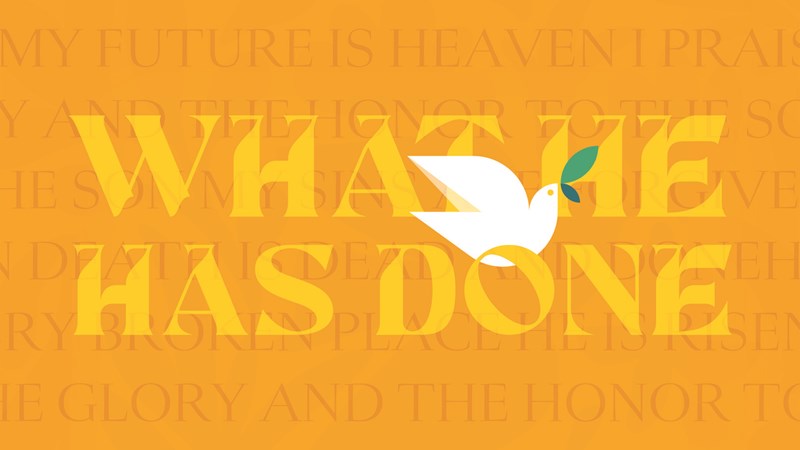 Series image for What He has Done