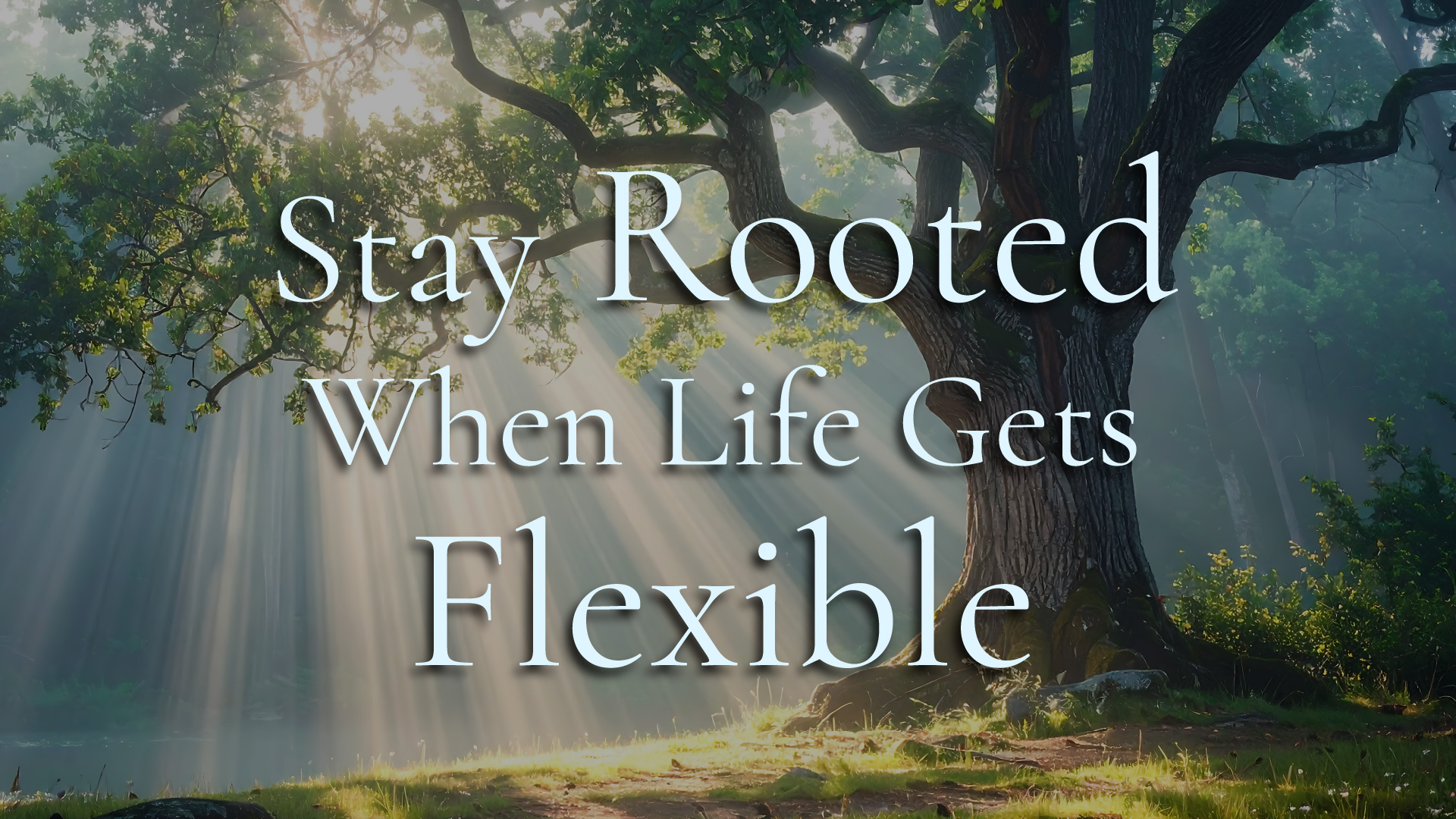 Stay Rooted When Life Gets Flexible